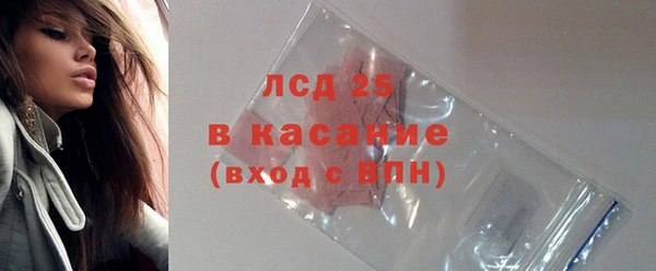 прущие грибы Зеленодольск