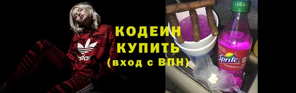 прущие грибы Зеленодольск