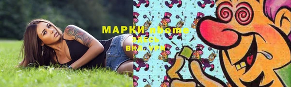 прущие грибы Зеленодольск